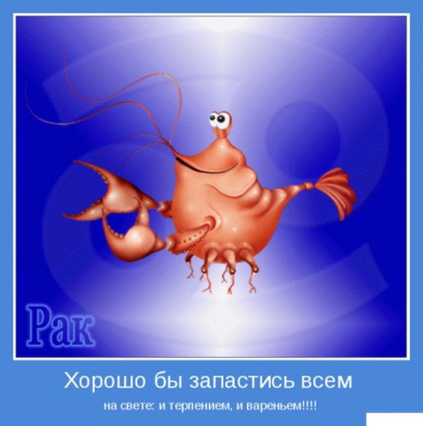 Рок мемы