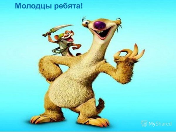 Молодцы ребята