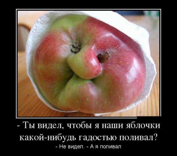 Анекдоты про фрукты