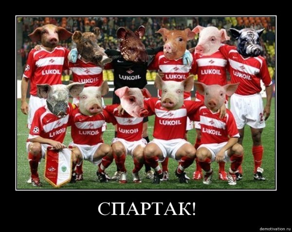 Шутки про Спартак