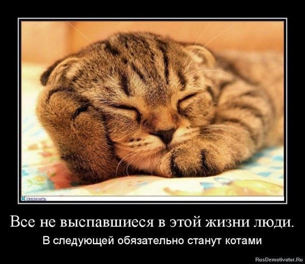Мотиваторы про сон