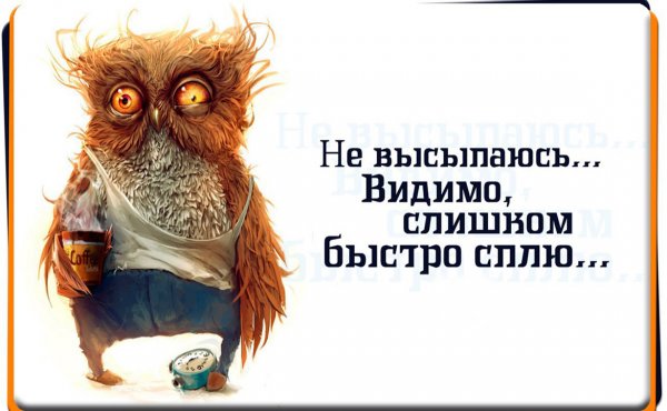 Утро не выспался