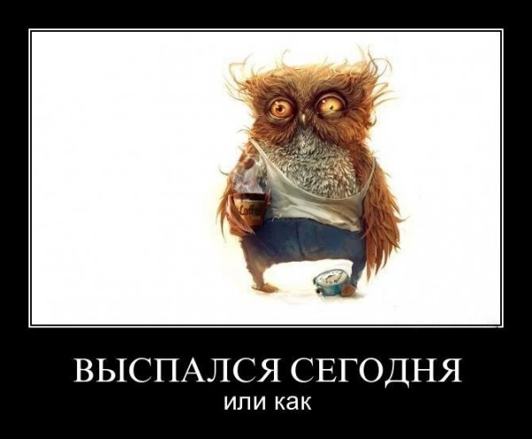 Сова ты высыпаешься