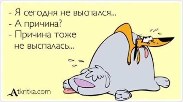 Приколы про недосып