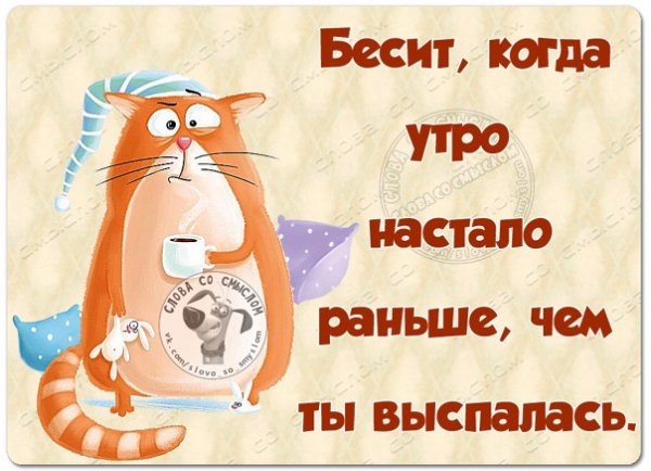 Выспались доброе утро