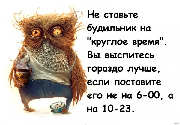 Смешные высказывания про сову