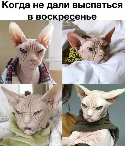 Выспалась до неузнаваемости