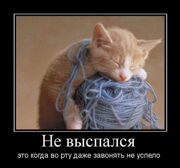 Я не высыпаюсь