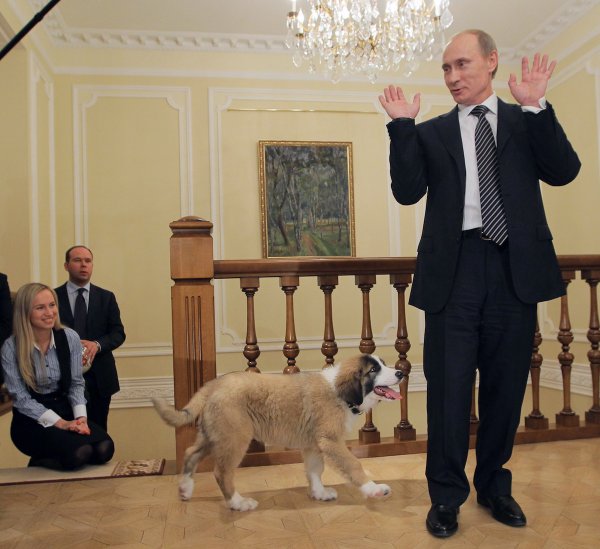 Александр Вайно Аси