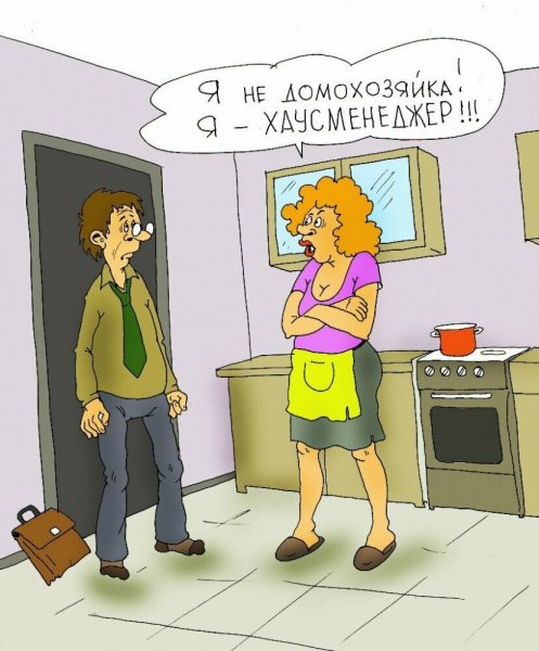Шутки про домохозяек