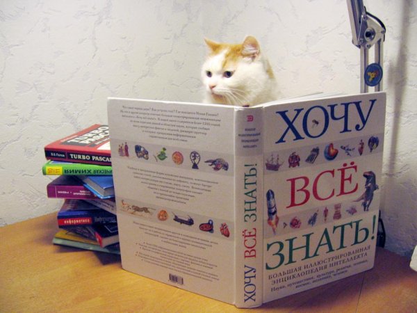 Смешные картинки про книги