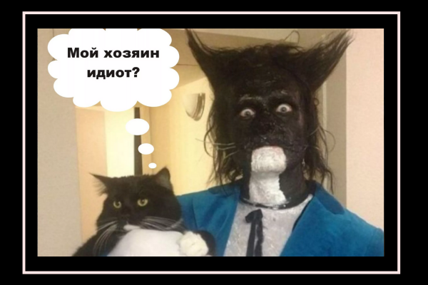 Мой хозяин идиот Мем
