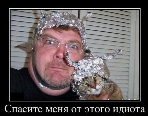 Кот в шапочке из фольги