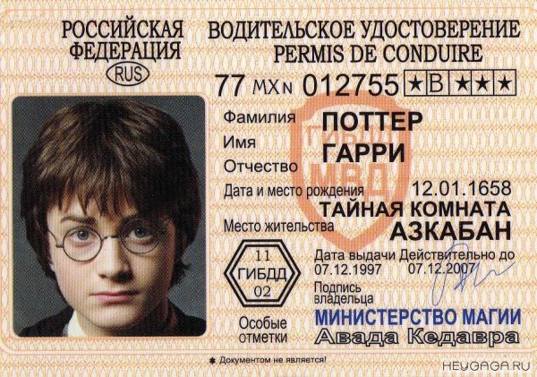 Паспорт Гарри Поттера