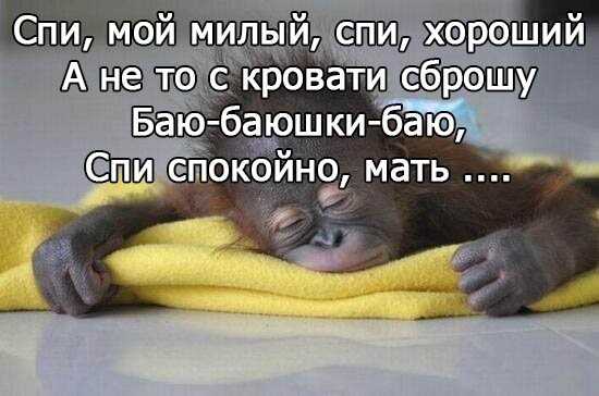 Прикольные пожелания спокойной ночи