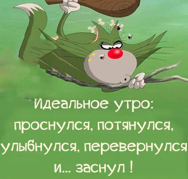Доброе утро с юмором