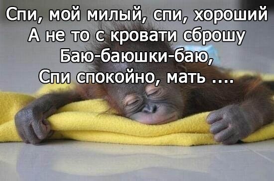 Смешные пожелания спокойной ночи