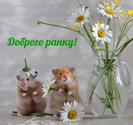 Позитивного дня и хорошего настроения