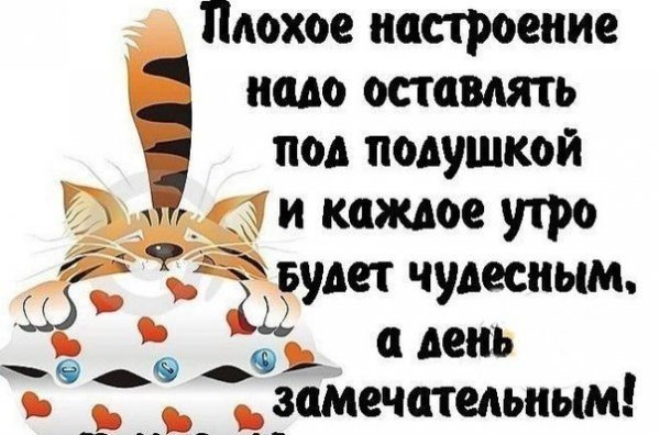 Цитаты для поднятия настроения утром