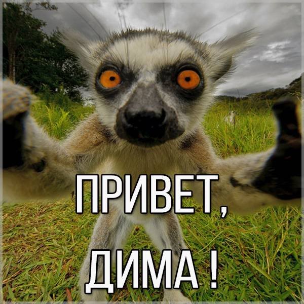 Привет Сашка