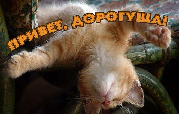 Приветствие с юмором