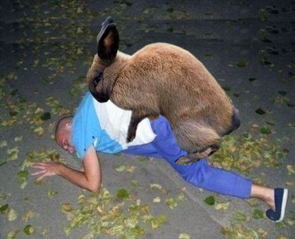 Лучшие смешные фотошопы