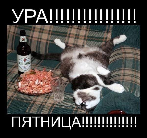 Смешные открытки с пятницей