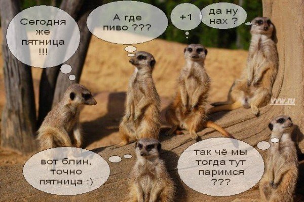 Анекдоты про пятницу в картинках