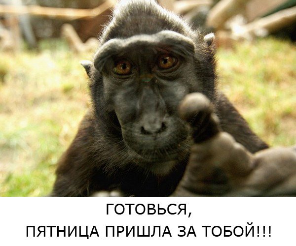 Демотиватор пятница пришла