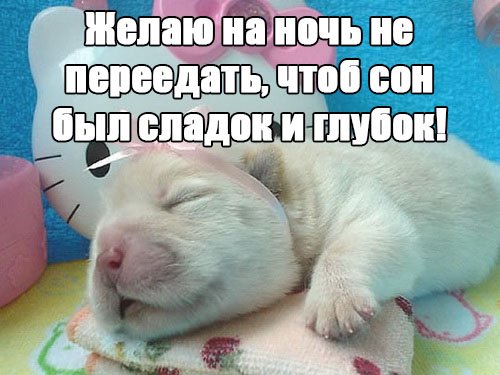 Спокойной ночи прикол