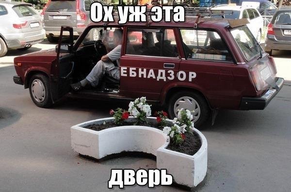 Дети и животные смешное с надписями