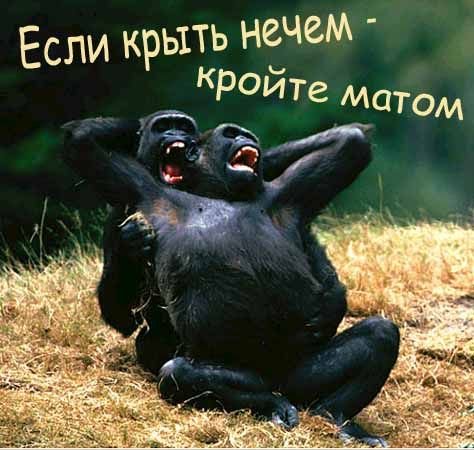 Приколы про март