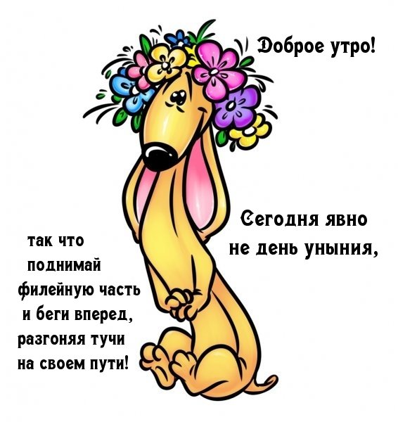 Доброе утро смешные картинки с надписями