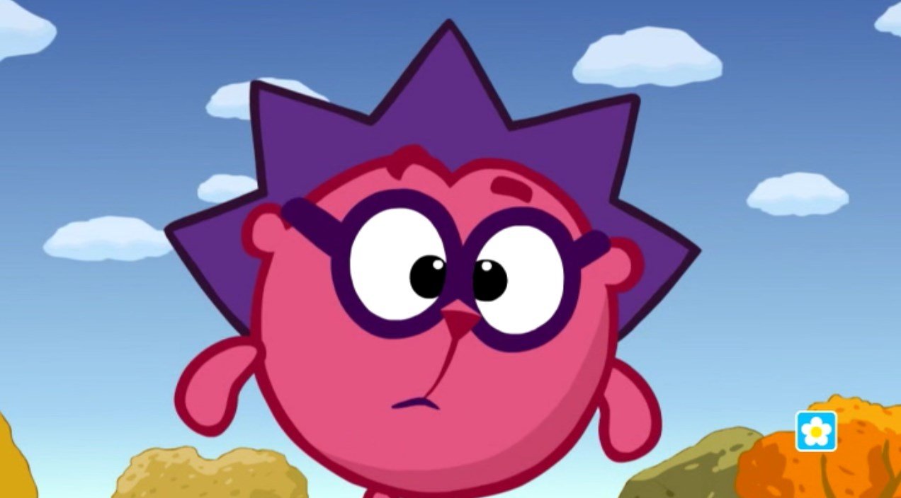 48 48