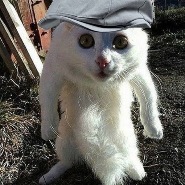Ты что Бессмертный