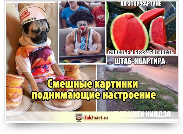 Смешные картинки поднимающие настроение до слез