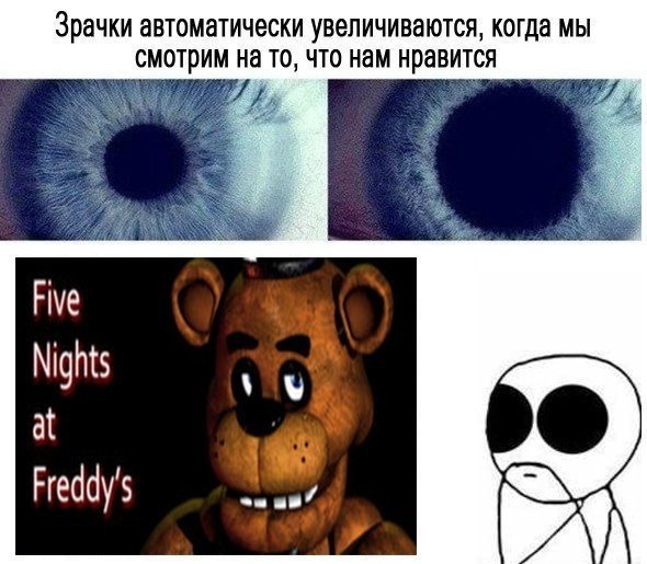 ФНАФ мемы