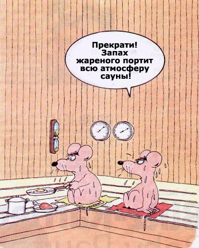 Баня приколы