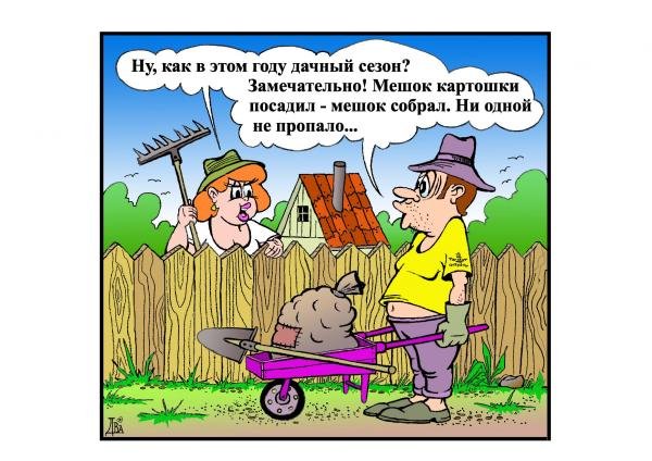 Закрытие дачного сезона