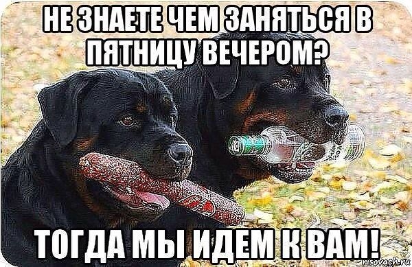 Вечер пятницы