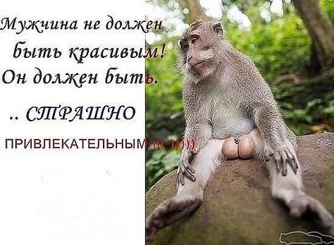 Афоризмы про пятницу прикольные