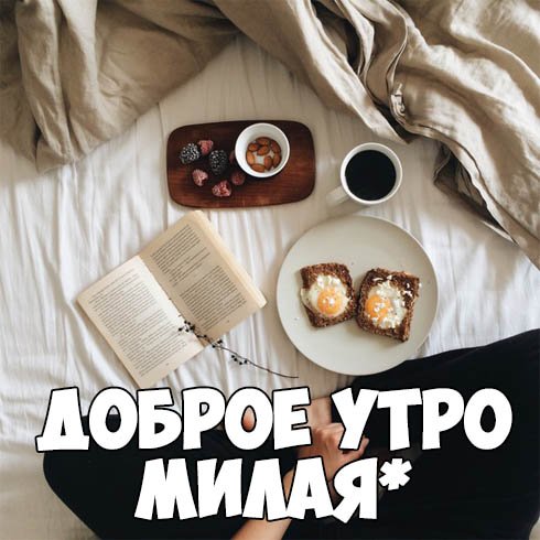 Приколы с добрым утром девушке