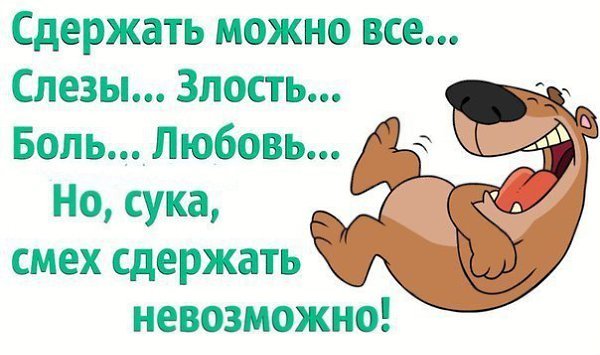 Смех до слез приколы