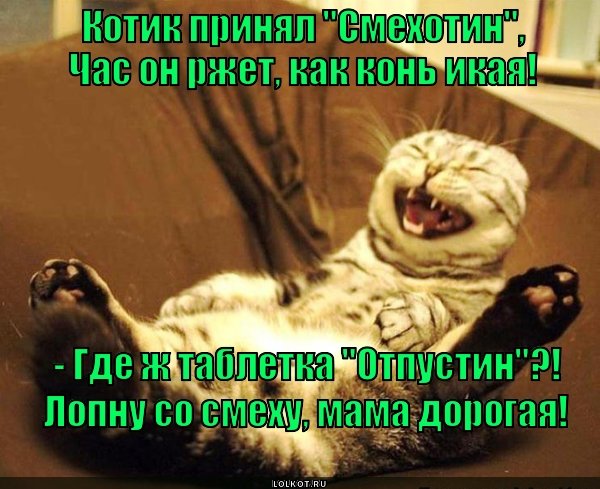 Прикол в картинках для смеха