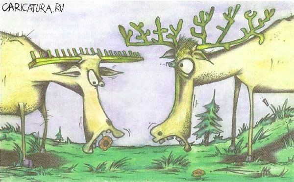 Лось прикол