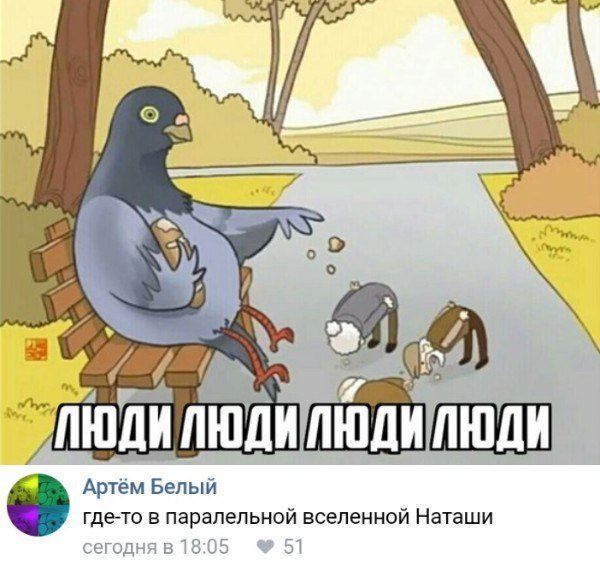 Мемы про голубей