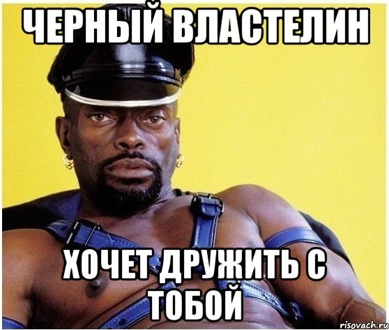Миша черный Властелин