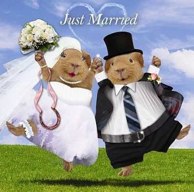 Свадебные открытки с приколами