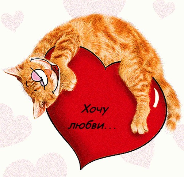 Валентинки с котиками