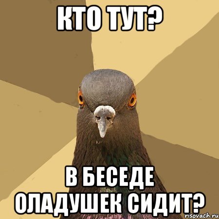 Мемные картинки для беседы